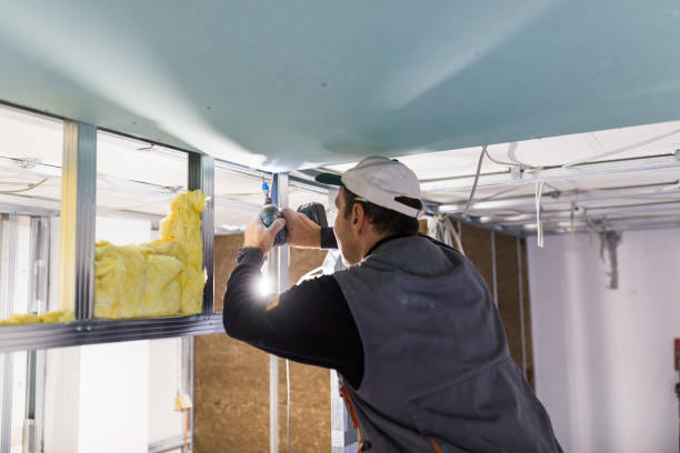 Best DIY Insulation Kits and Guidance in Round Lake Heights, IL
