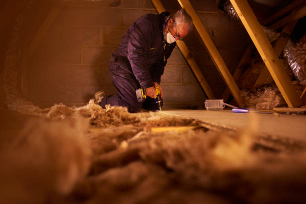 Best Insulation Maintenance and Repair in Round Lake Heights, IL